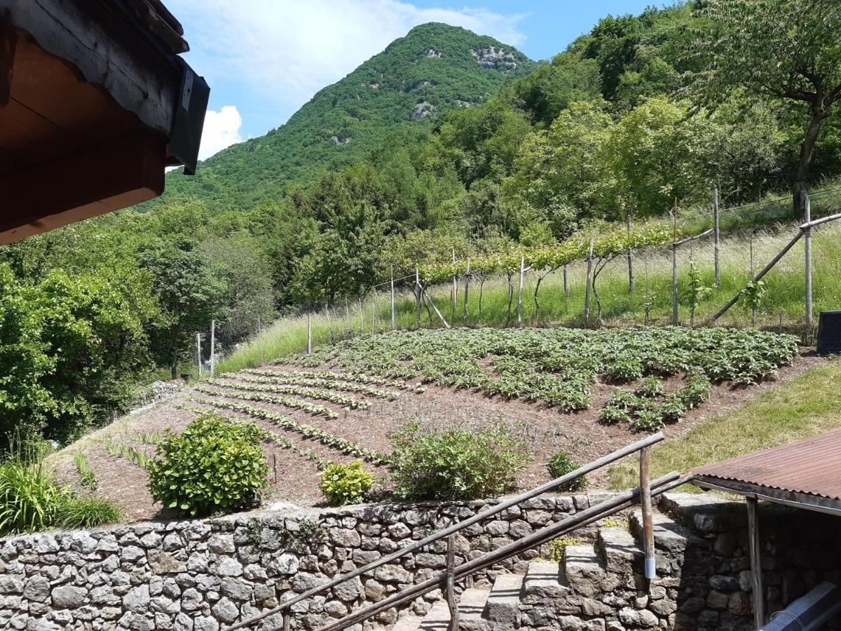 Ca' Berti Appartamento Con Terrazza Ville Del Monte เทนโน ภายนอก รูปภาพ